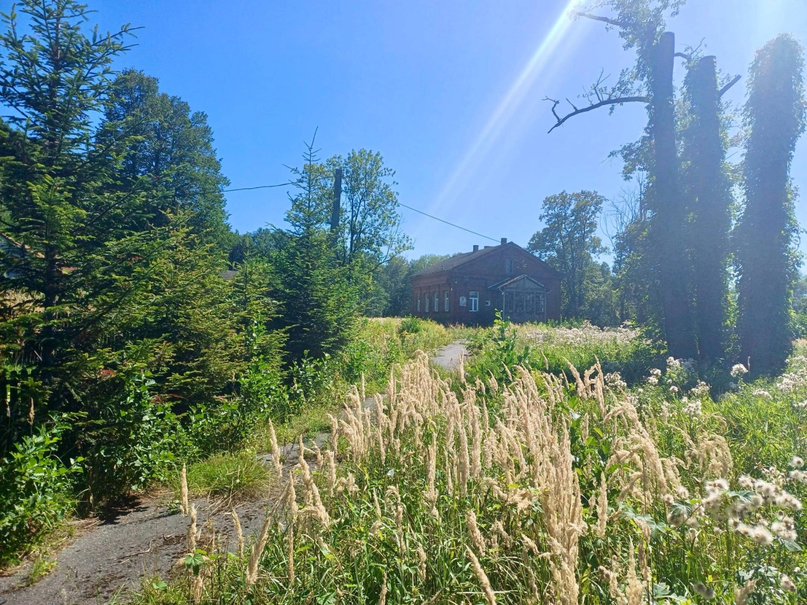 Od „Szmejówki” do młyna. Chodźmy na spacer – FOTO
