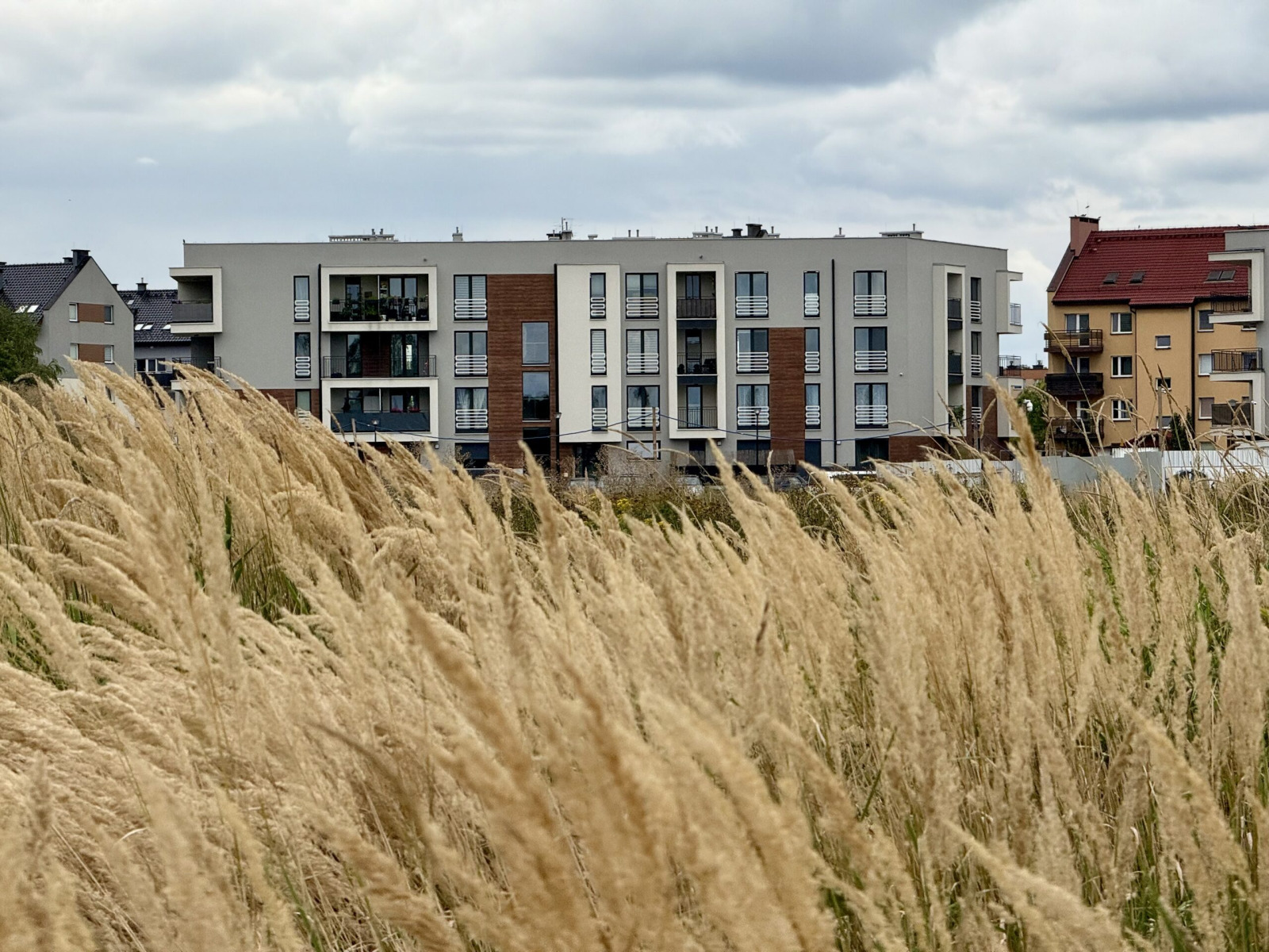 Czekasz na mieszkanie komunalne w Oświęcimiu? Zapomnij, tu się absolutnie nic nie buduje!