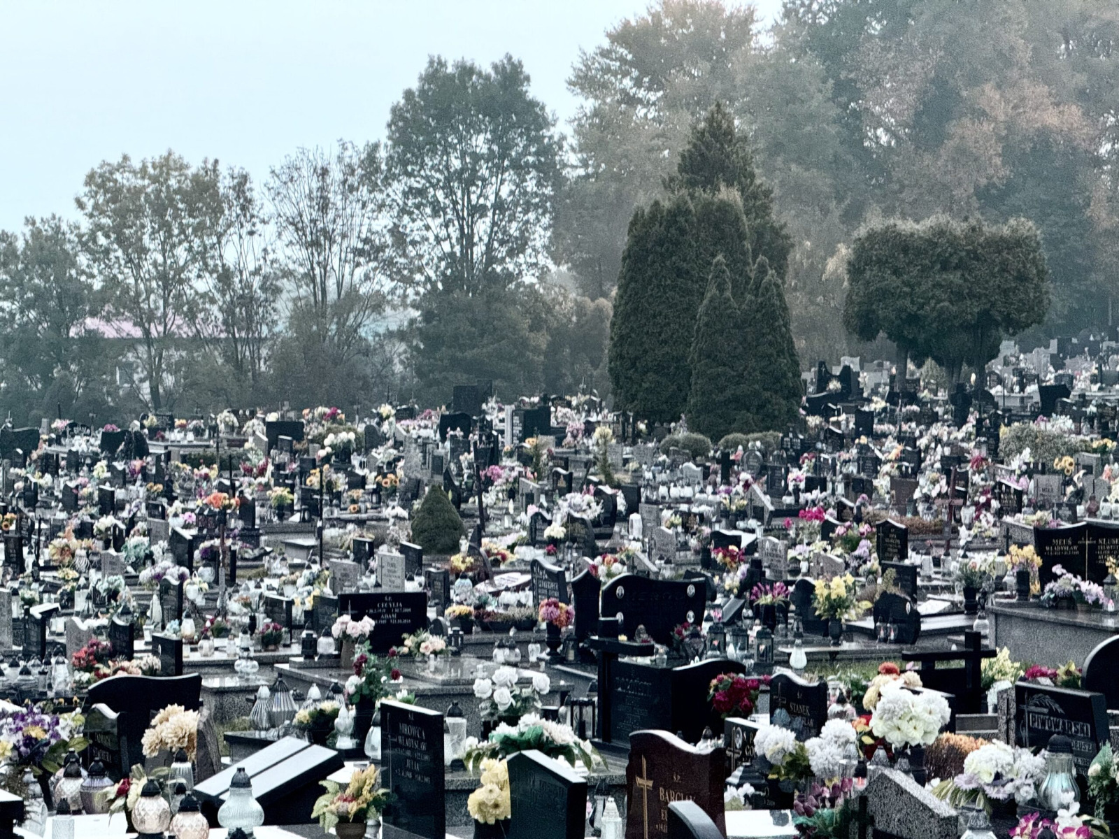 Zmiana organizacji ruchu przy cmentarzu komunalnym. Sprawdź, jak dojechać na Wszystkich Świętych