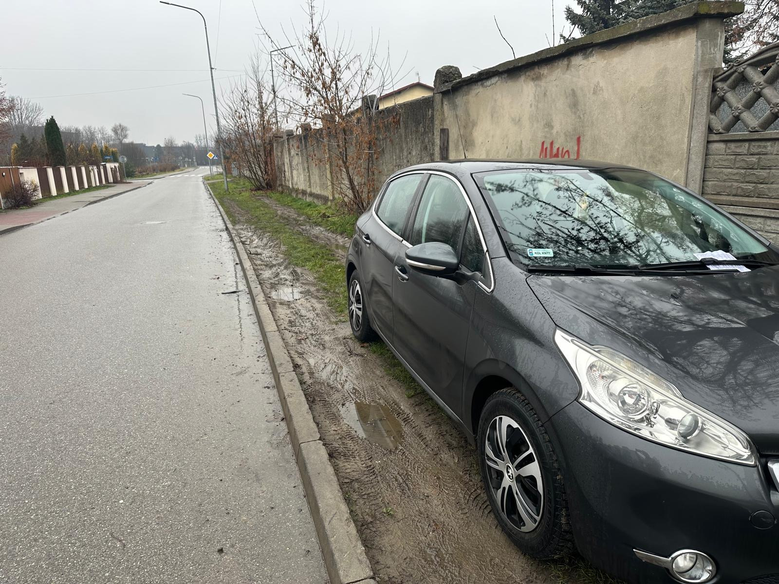 Gehenna z parkowaniem. Mandaty nie rozwiązują problemu