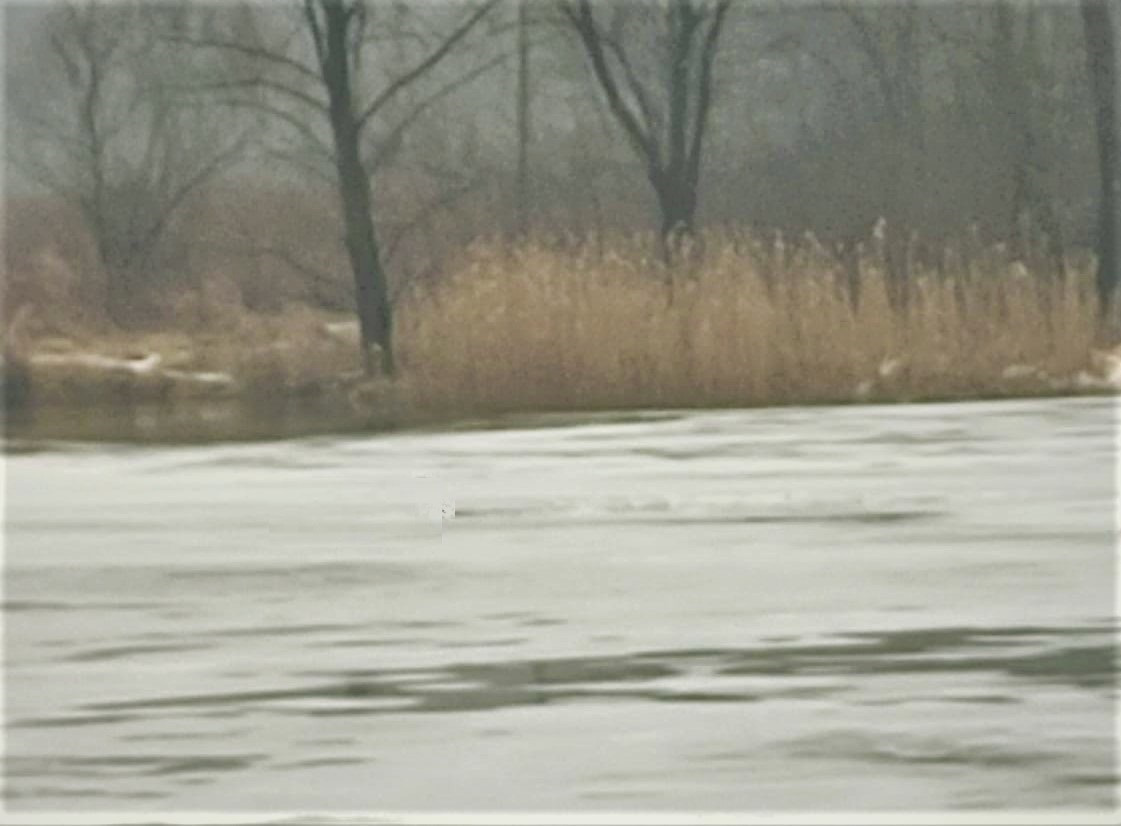 Skakali po lodzie na Sole. Chwila zabawy mogła skończyć się tragedią