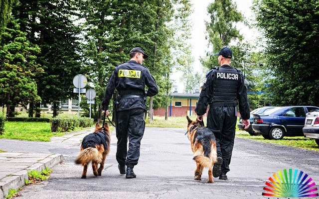 OŚWIĘCIM. Wulgaryzmy, amfetamina i kastet