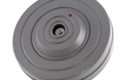 POWIAT. Pozbądź się gryzoni raz na zawsze