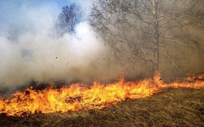 POWIAT. Znów nielegalnie wypalają trawę
