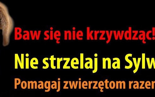 POWIAT. Pomóż zwierzętom przetrwać Sylwestra