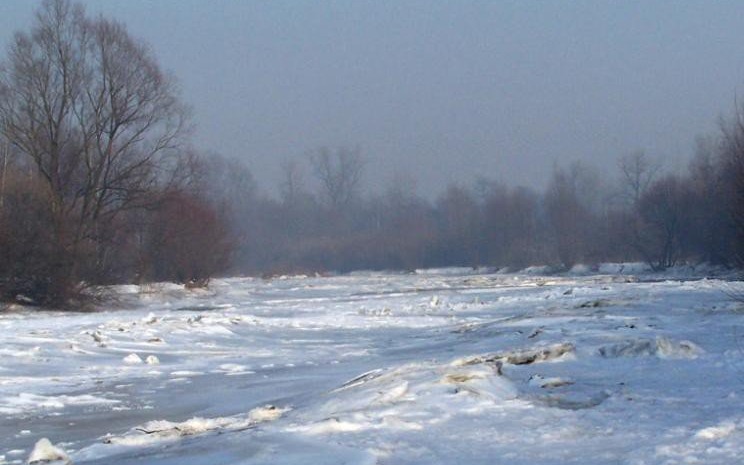 OŚWIĘCIM. Lód na rzece Sole załamał się pod psem