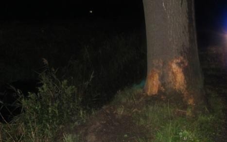 OSIEK. Kierujący Mazdą stracił panowanie nad pojazdem