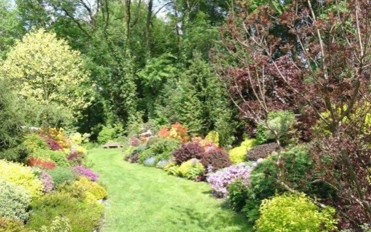 VIDEO-OŚWIĘCIM. Wieści z Ratusza 13 stycznia 2017