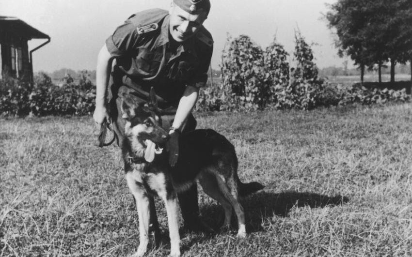 AUSCHWITZ. Poszukujemy dokumentów, zdjęć, listów, pamiętników...