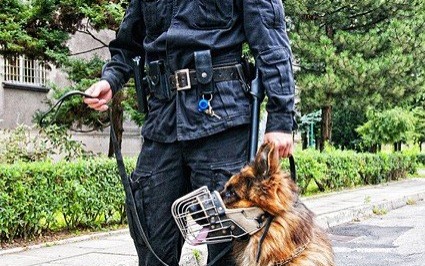 KĘTY. Udane poszukiwania desperatki