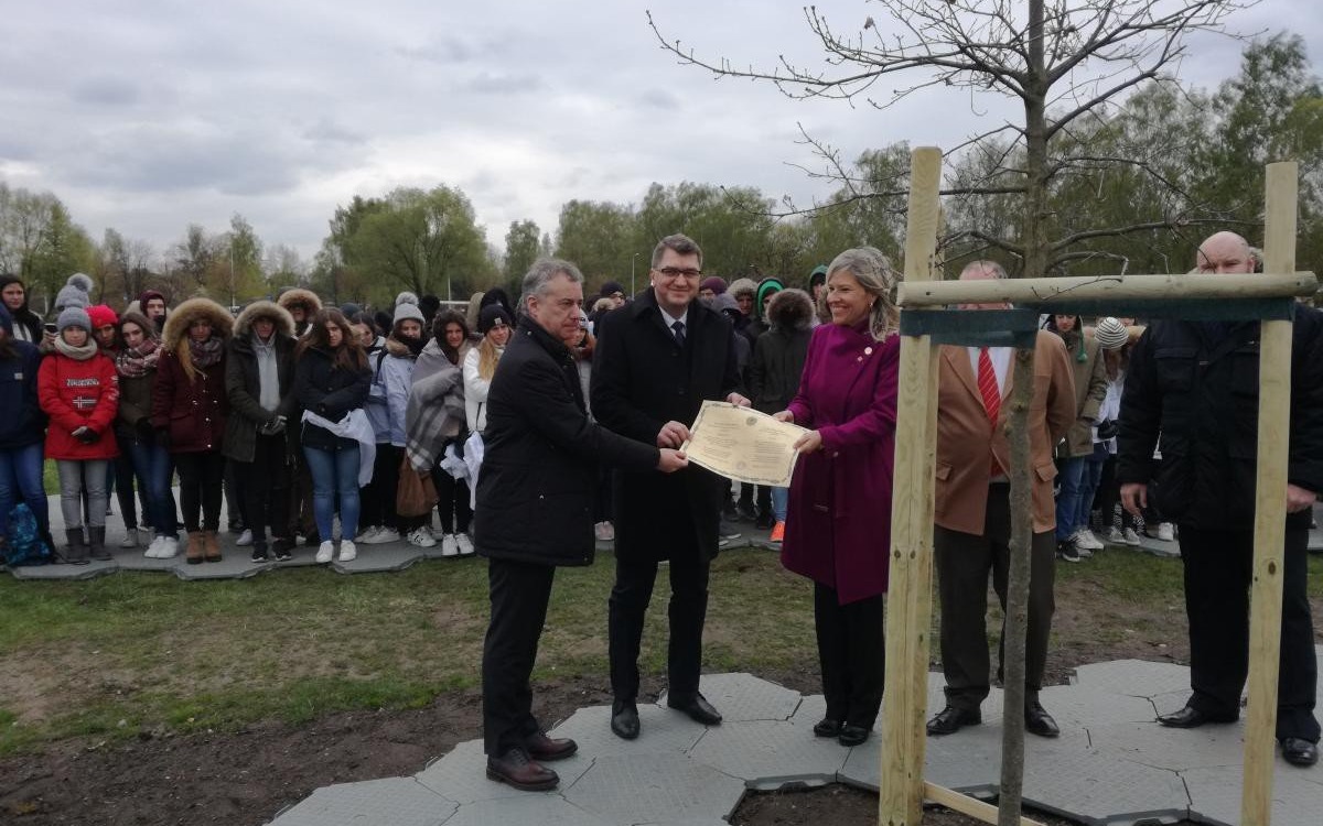 OŚWIĘCIM. Dąb z Guerniki zasadzono w Parku Zasole