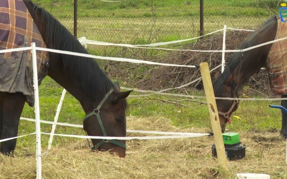 POWIAT. Klub Hipiczny IKARION