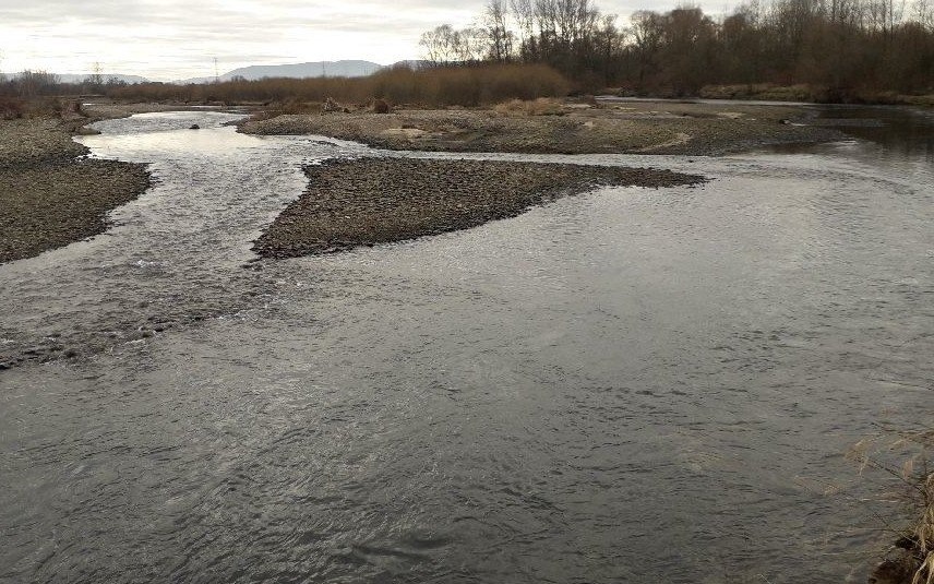 SKIDZIŃ GM. BRZESZCZE. Na brzegu rzeki Soły znaleziono zwłoki kobiety