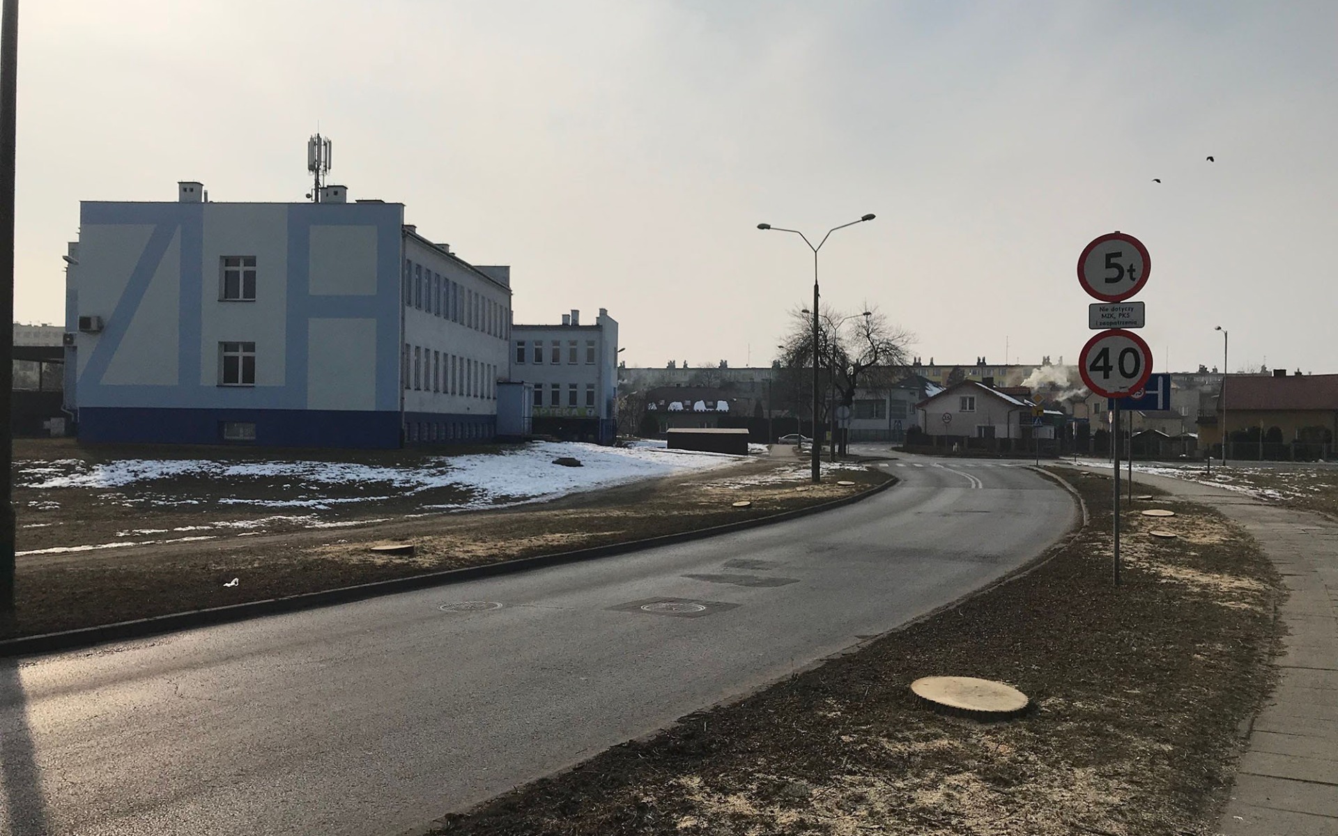 POWIAT. Stop wycince drzew w Oświęcimiu