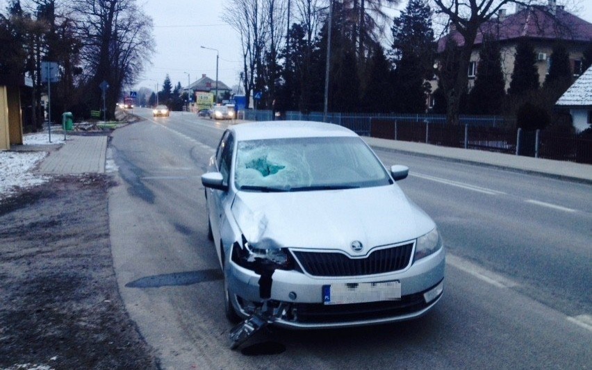 GROJEC. Poważny wypadek drogowy z udziałem pieszej