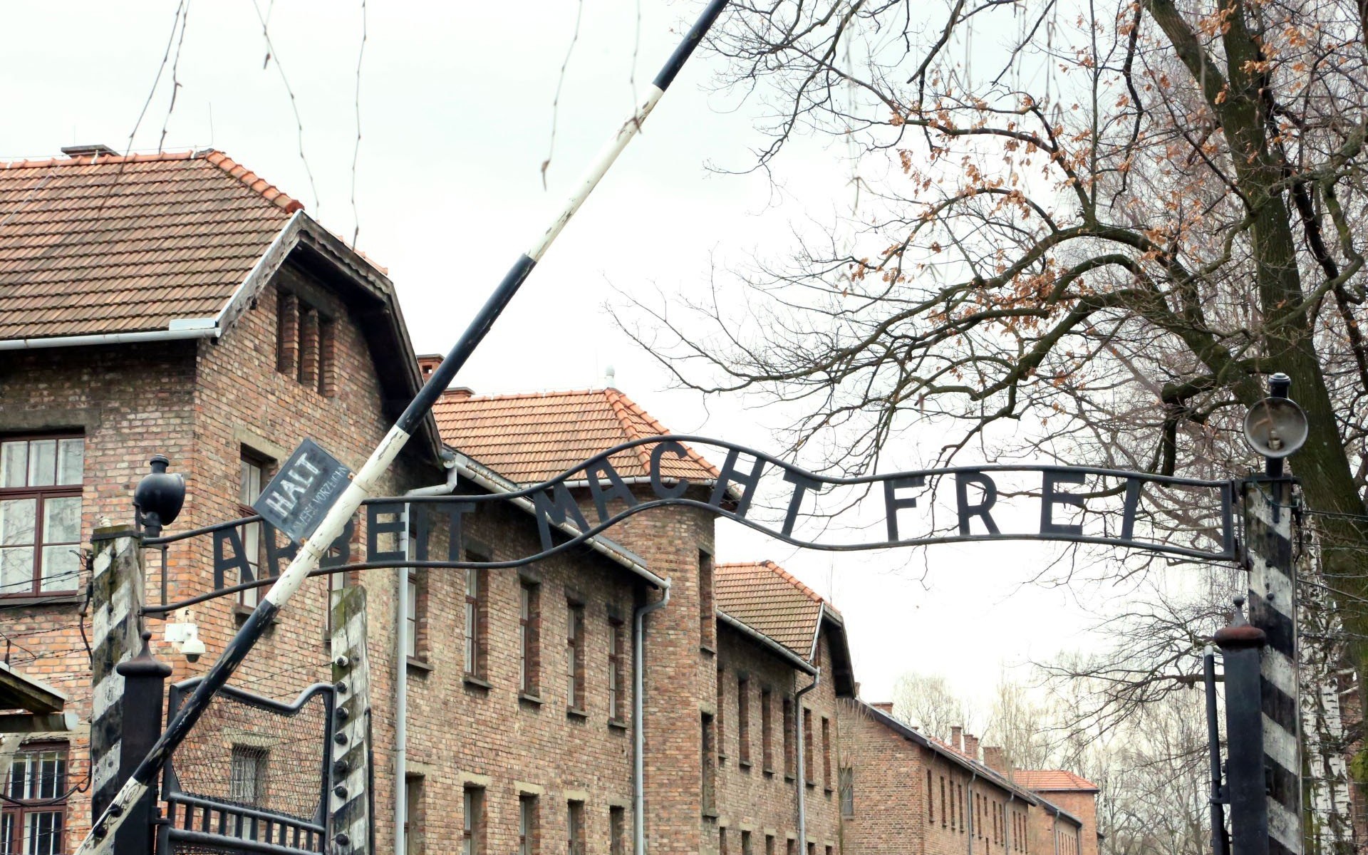 AUSCHWITZ. Historyk apeluje do ministra kultury