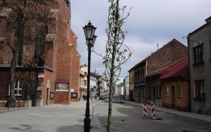 OŚWIĘCIM. Grusze Chanticleer będą rosły w centrum