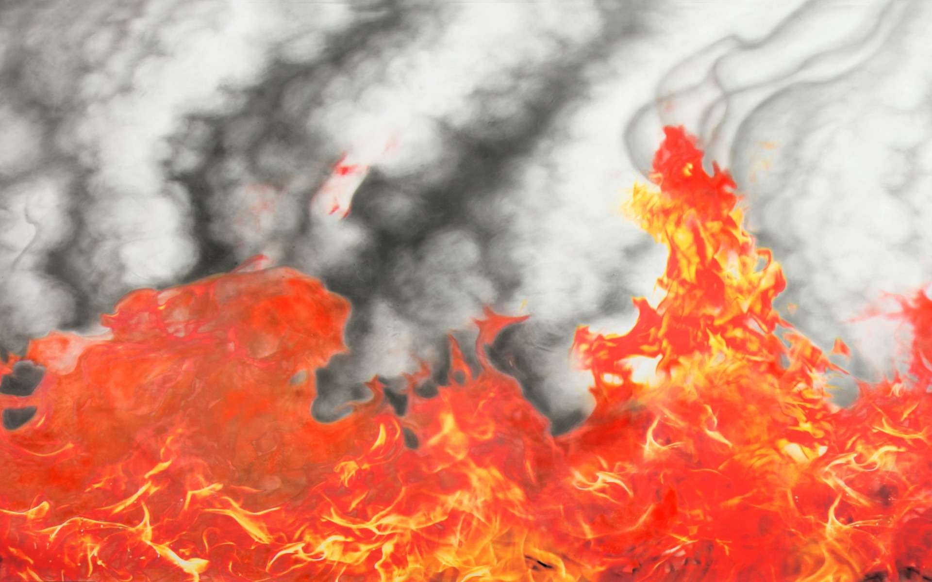 OŚWIĘCIM. Wystawa „Tym, którzy ostrzegają…”