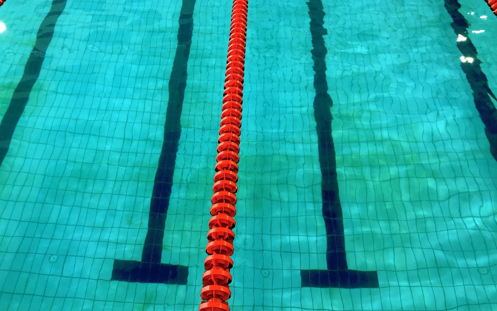 OŚWIĘCIM. W basenie pojawiają się algi i glony