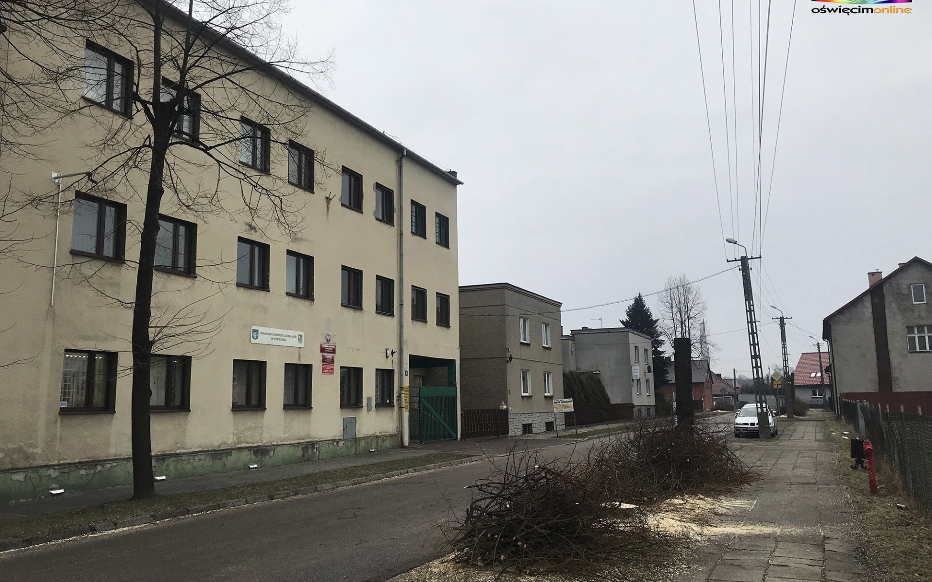 OŚWIĘCIM. Wycinają drzewa, aby wyremontować ulicę Orzeszkową