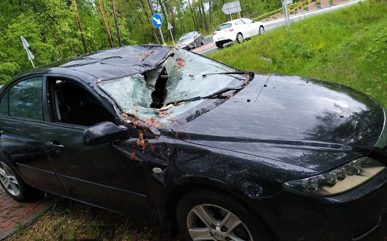 BOBREK. Na Rondzie drzewo spadło na samochód