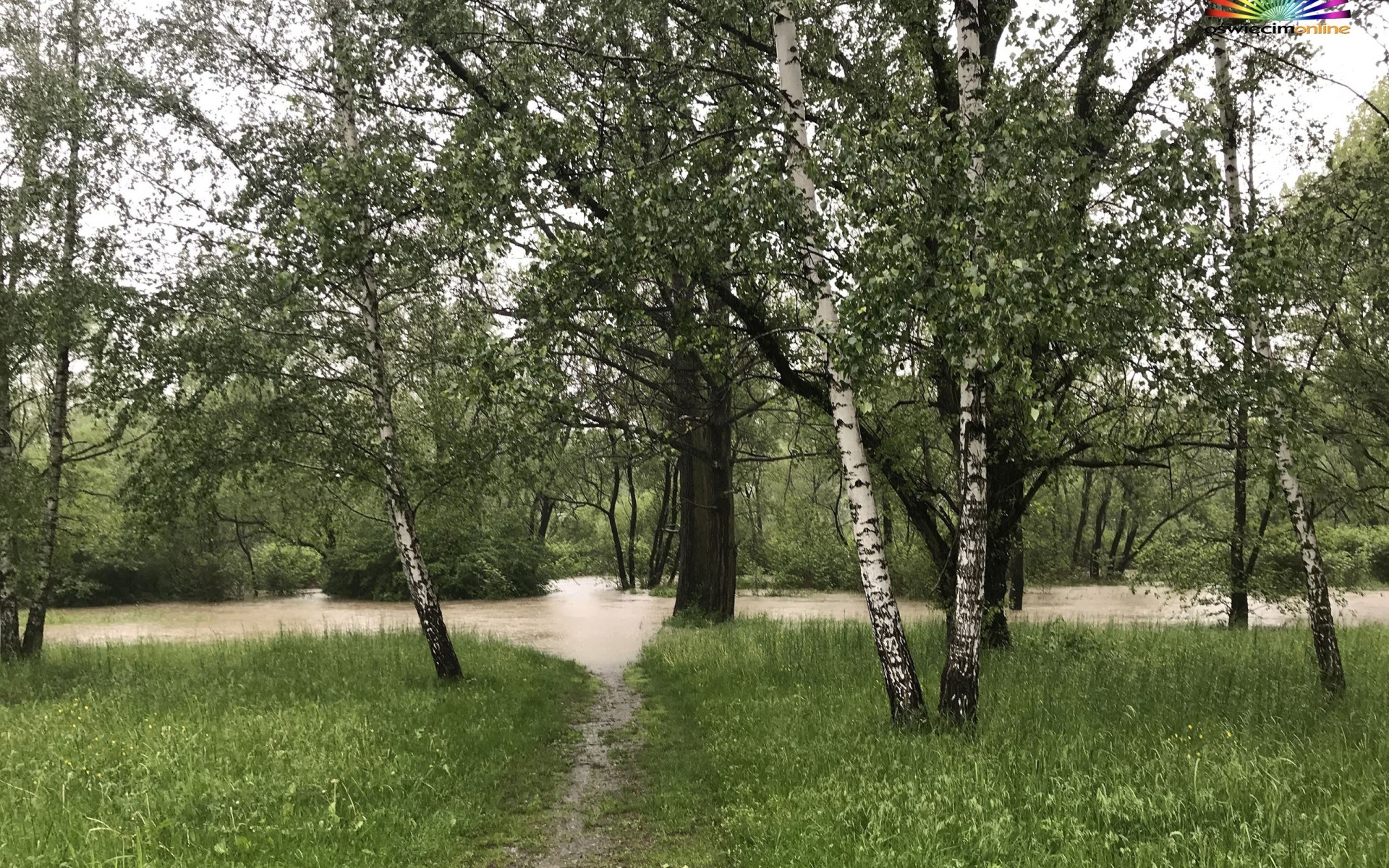 OŚWIĘCIM. Na Kamieńcu układają już worki z piaskiem