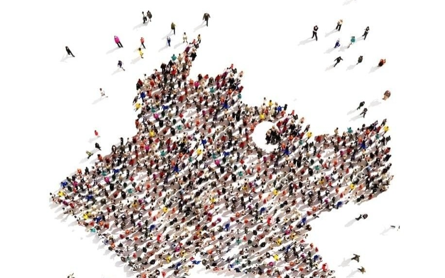 OŚWIĘCIM. Objazdowy Festiwal Filmowy WATCH DOCS