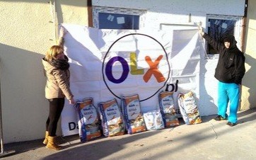 OŚWIĘCIM. 17 ton karmy dla zwierząt ze schronisk