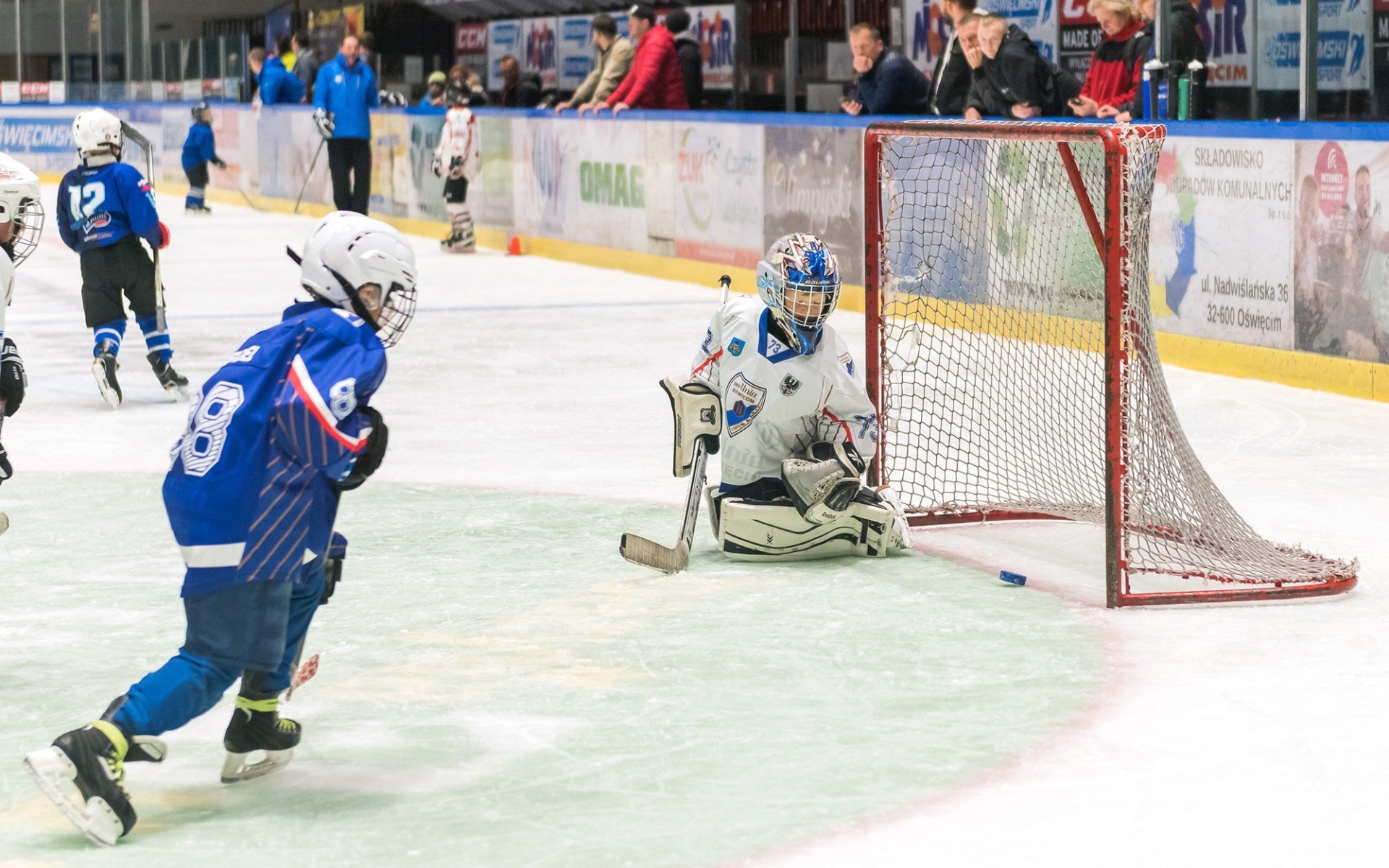 OŚWIĘCIM. Rozpocznij przygodę z hokejem na lodzie