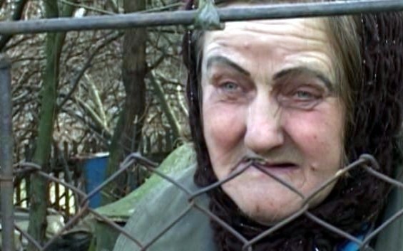 VIDEO-BABICE. Funkcjonariusze Otoz Animals odebrali zwierzęta