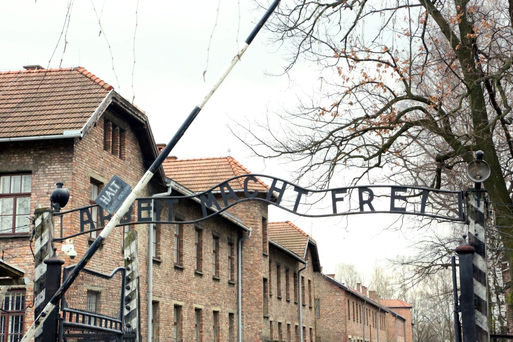 OŚWIĘCIM. 27 stycznia program obchodów miejskich