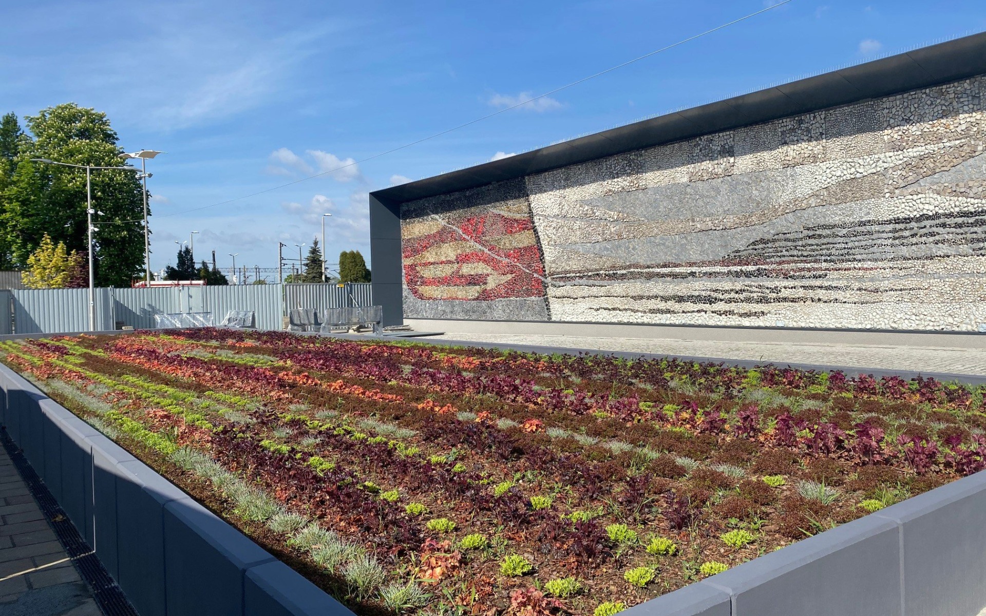 OŚWIĘCIM. 2500 roślin utworzyło mozaikę przed dworcem kolejowym