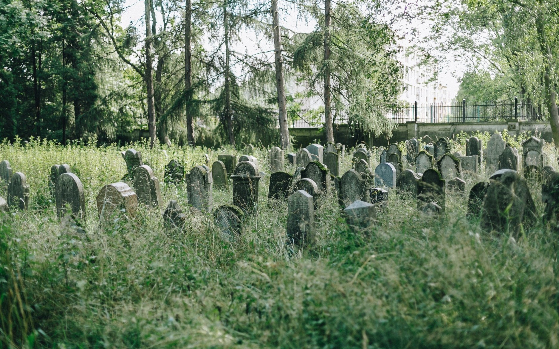 OŚWIĘCIM. Pomóż uporządkować cmentarz żydowski