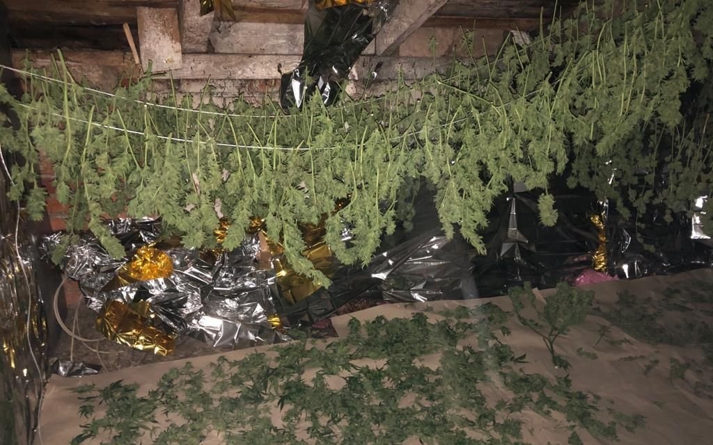 OŚWIĘCIM. Marihuana o czarnorynkowej wartości 870 tys. zł