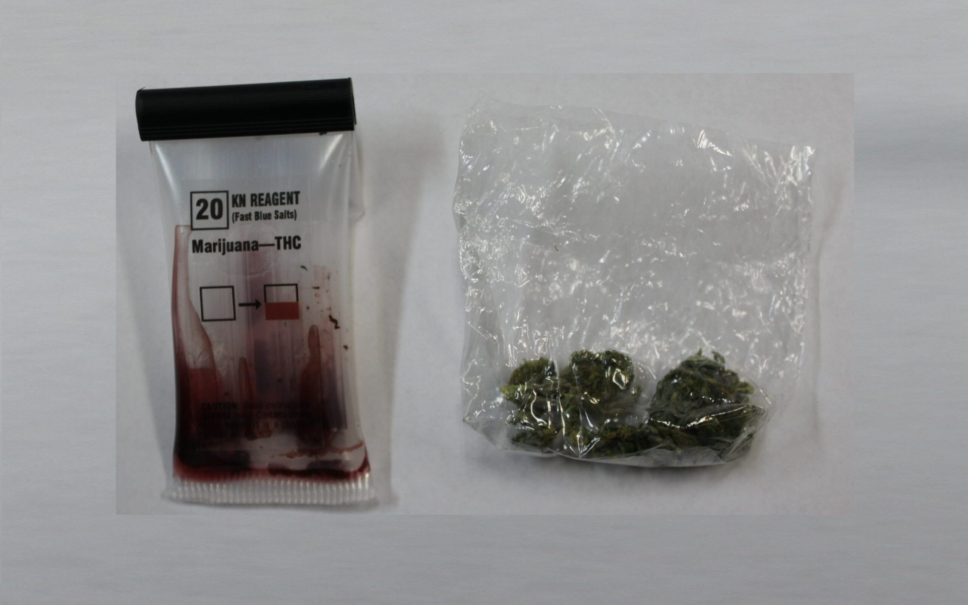 CHEŁMEK. Nad stawem palili marihuanę