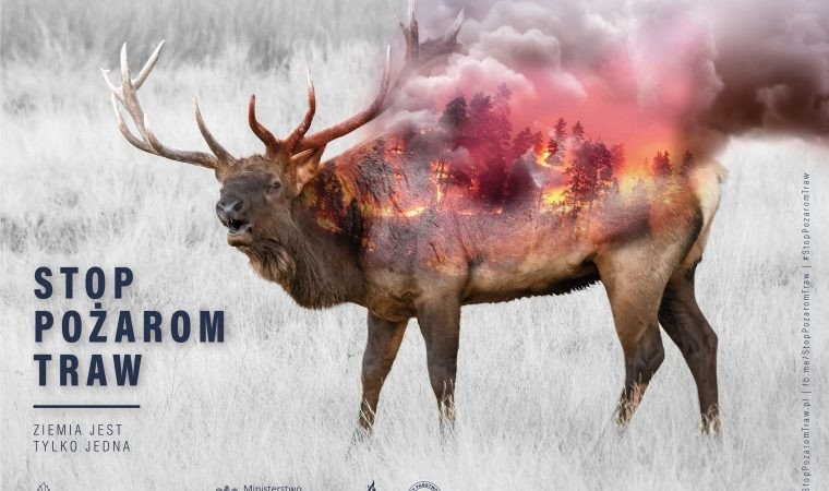 POWIAT. Wypalanie traw może się wiązać z sankcjami karnymi