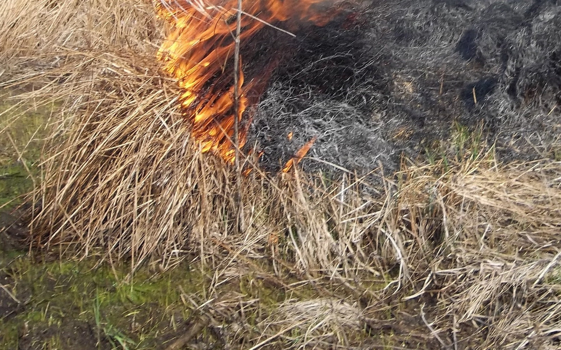 ZATOR. Podpalił łąkę i zatruł się dymem