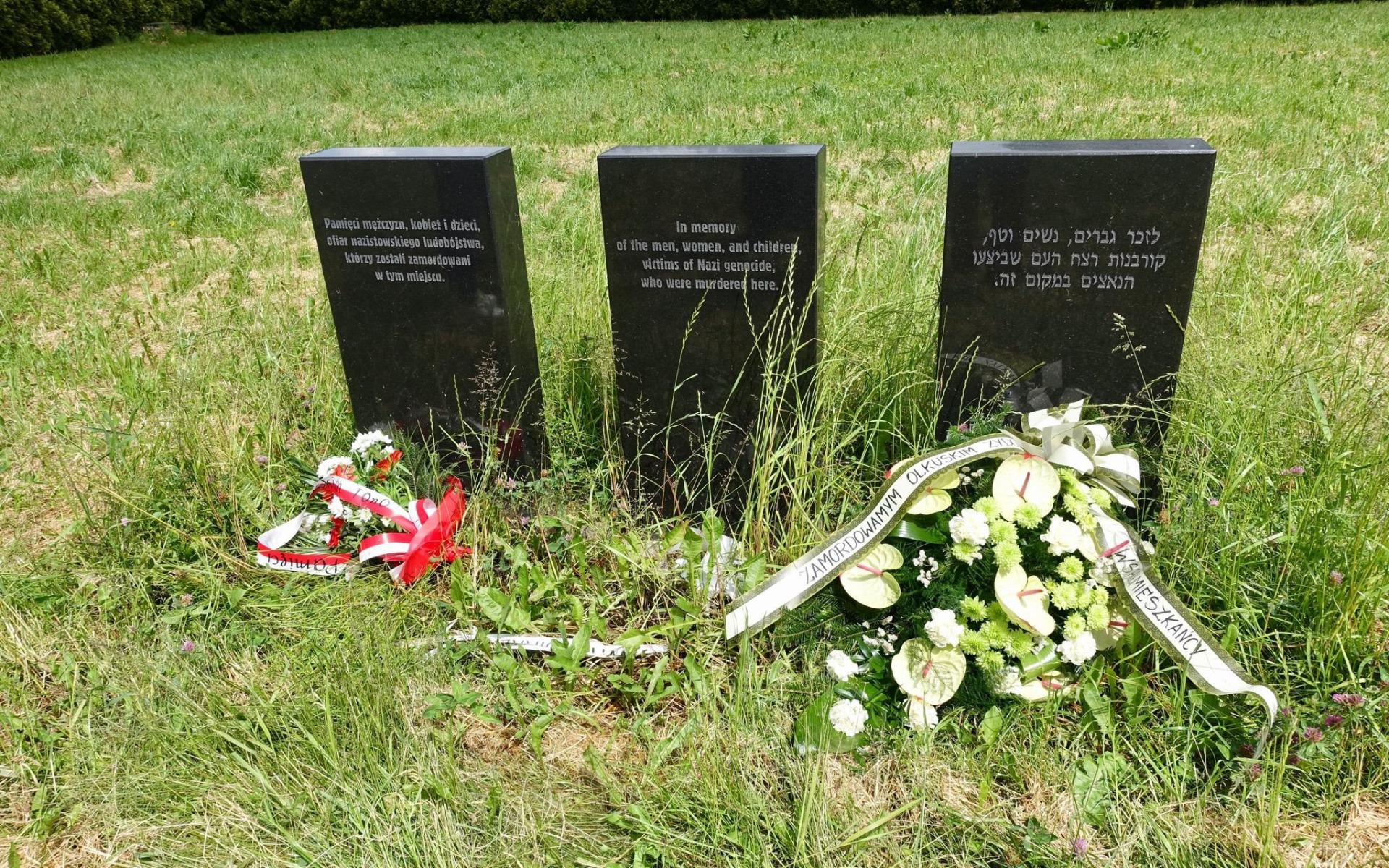 BRZEZINKA. 79 rocznica zagłady Żydów olkuskich