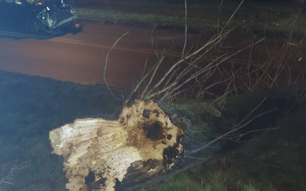 POWIAT. Złamane przez wiatr drzewo upadło na samochód