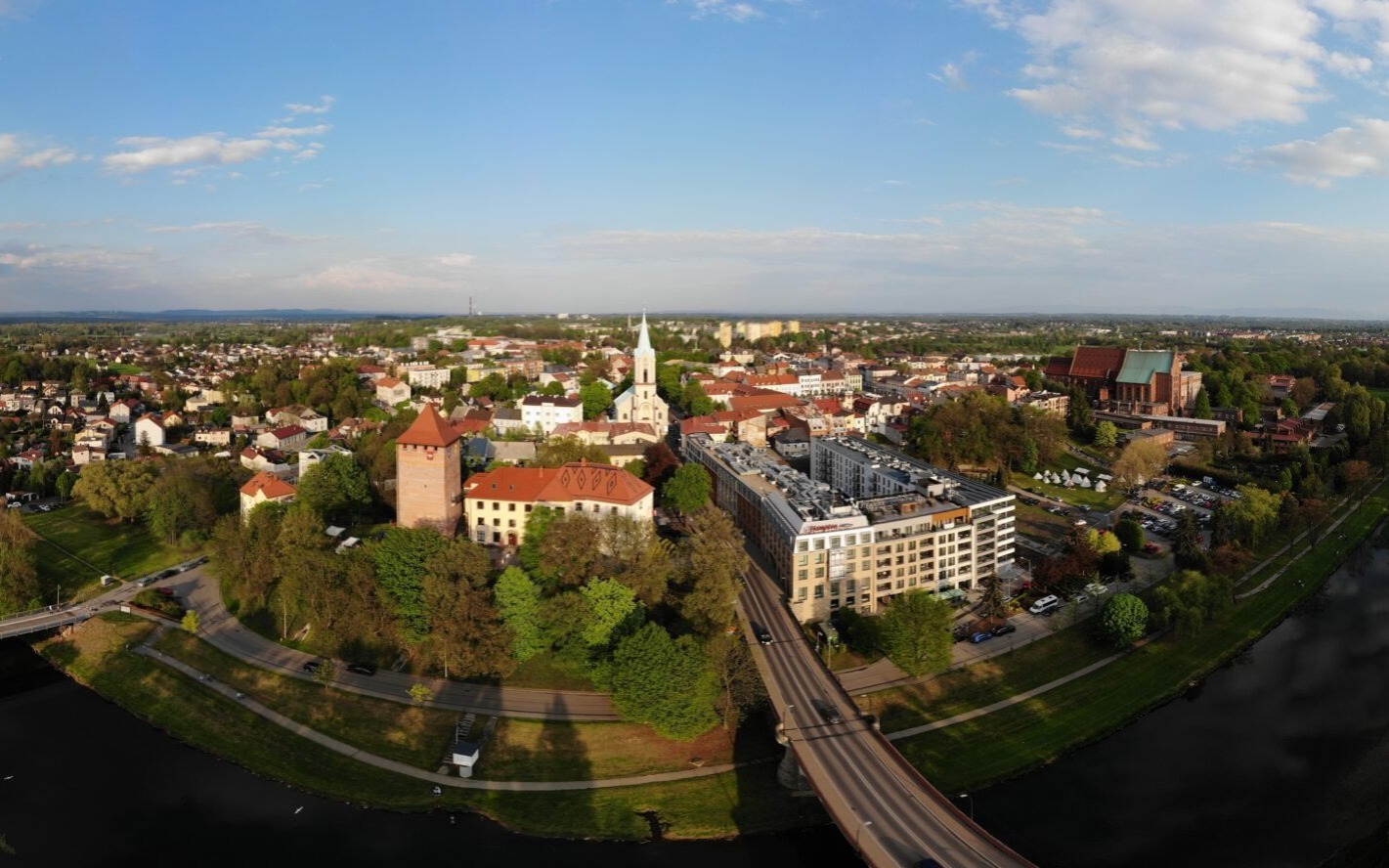 OŚWIĘCIM. W niedzielę piknic organizacji pozarządowych na bulwarach