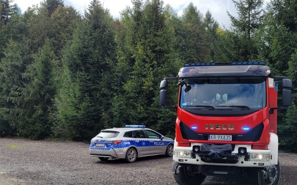 JAWISZOWICE. Nieszczęśliwy wypadek przy wycince drzew