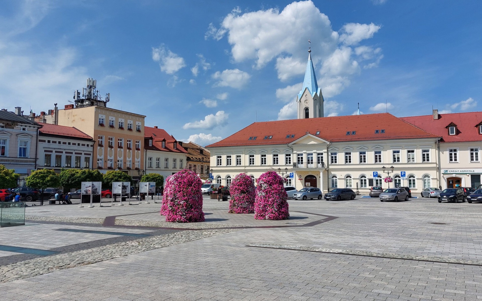 PUBLICYSTYKA. „Rynek to nie skwer” czyli drzew (na razie) nie będzie na rynku