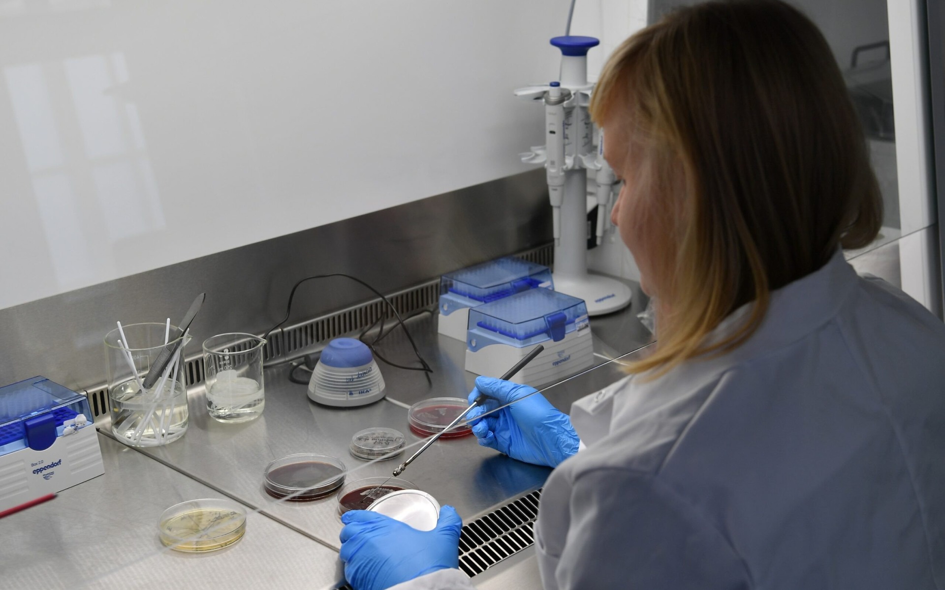 OŚWIĘCIM. Otwarto nowe laboratorium w Muzeum Auschwitz