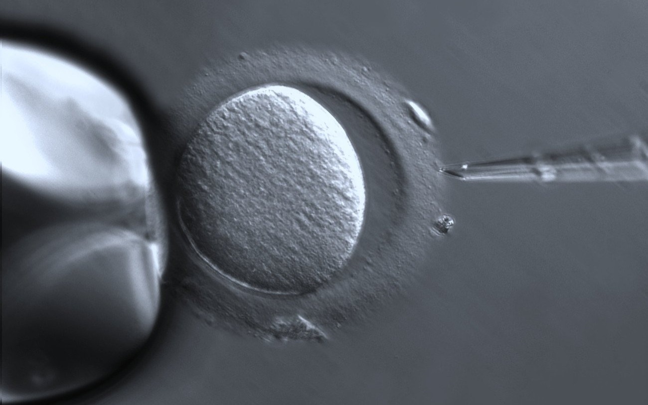 OŚWIĘCIM. Rusza program leczenia niepłodności dla par w powiecie oświęcimskim