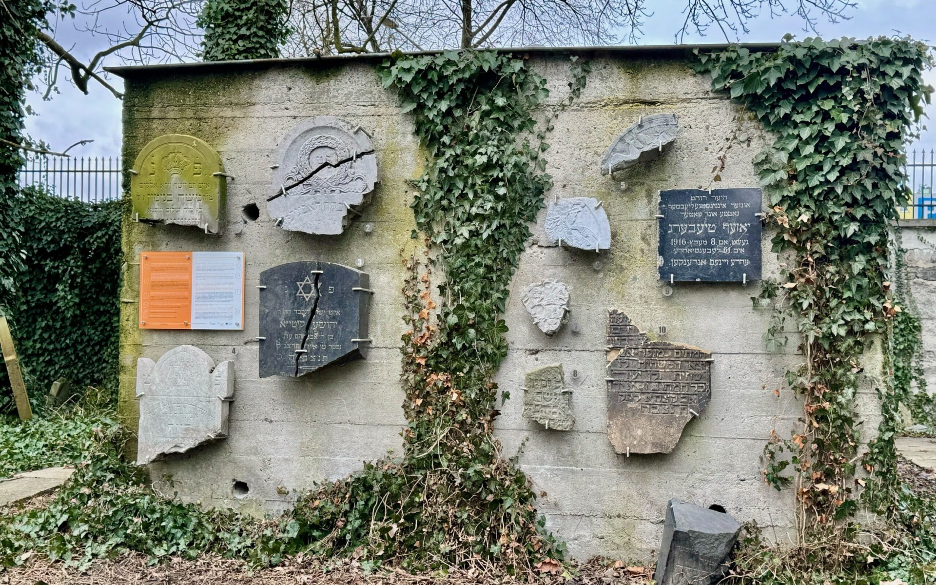 OŚWIĘCIM. Koniec pierwszego etapu projektu „Bunkier Pamięci” na cmentarzu żydowskim