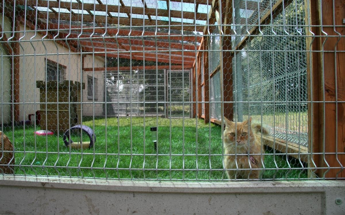 OŚWIĘCIM. Konkurs na nazwę Miejskiego Schroniska dla Bezdomnych Zwierząt