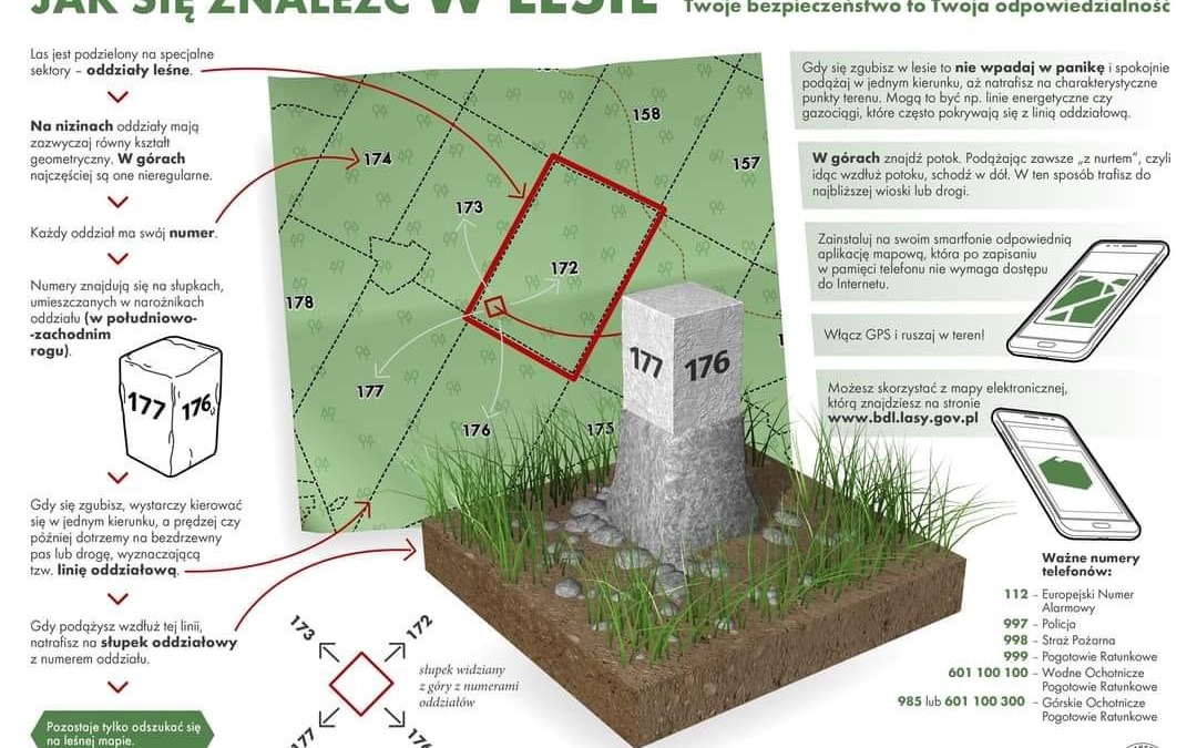 Jak się znaleźć w lesie: przewodnik dla początkujących
