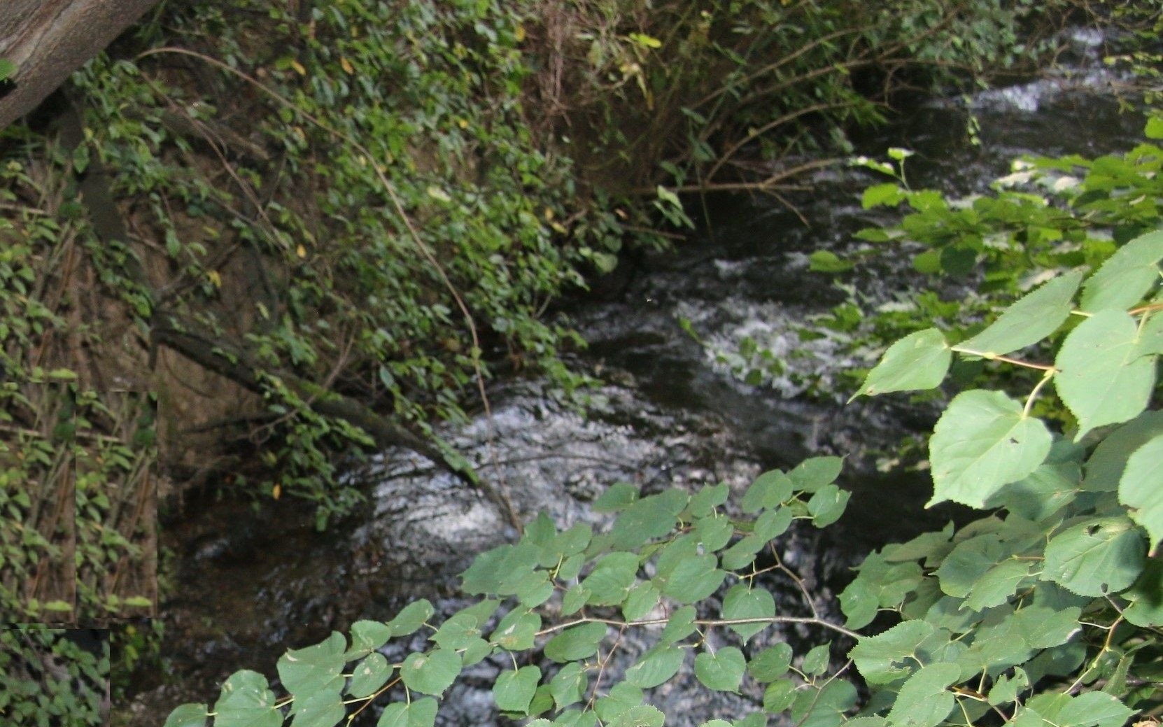 Dramatyczne znalezisko w Malcu: Co stało się z 64-letnim mieszkańcem Osieka?