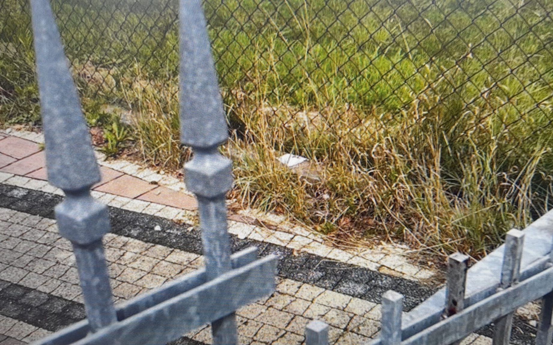 Nocne spotkanie nastolatków w Kętach: 15-latek poważnie ranny po upadku na ogrodzenie