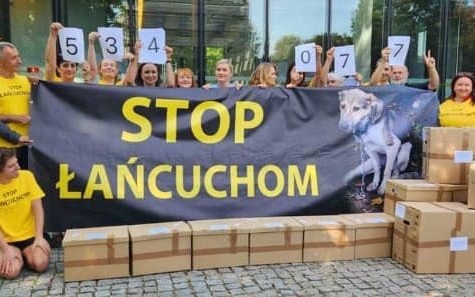 Nowa ustawa o ochronie zwierząt w Sejmie! 534 tysiące Polaków żąda zmian!